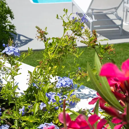 Apanomeria Boutique 4*