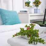 Apanomeria Boutique Apart-hotel