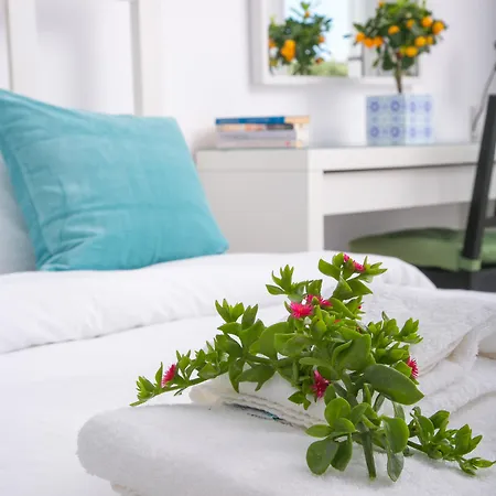Apanomeria Boutique Aparthotel