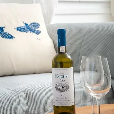 Apanomeria Boutique Lägenhetshotell 4*