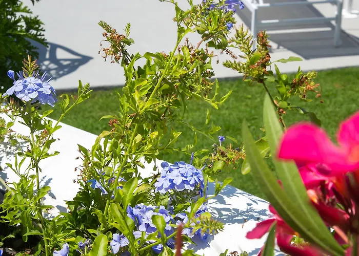 Apanomeria Boutique 4*